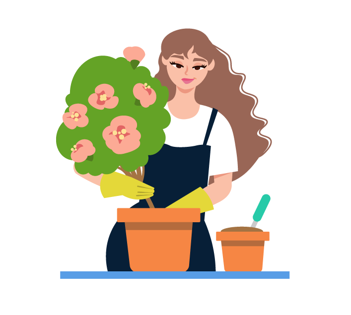 Png header articolo - Claim