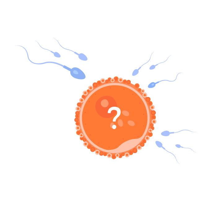 Png header articolo-Cosa non mangiare in gravidanza_